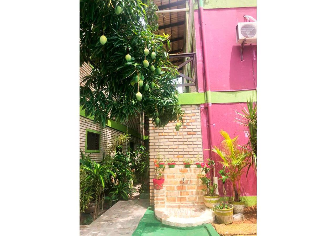Ape Namaste Daire Natal Dış mekan fotoğraf